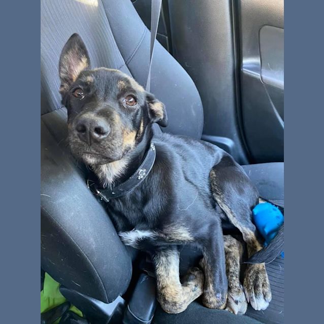 Photo of Ally Dl2587