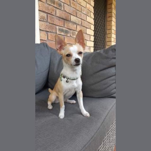 Photo of Barbara (Babs)