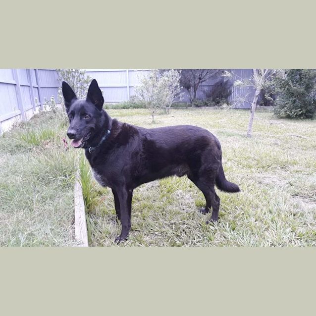 Photo of Jasper