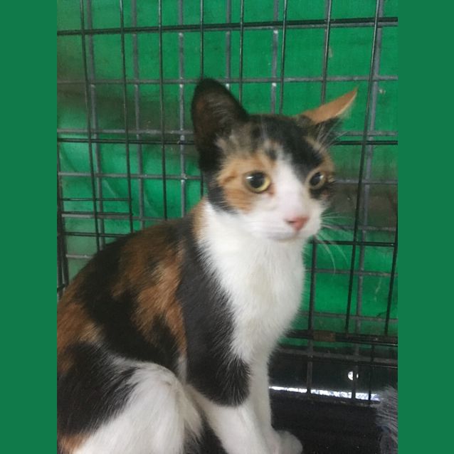 Photo of Dawn (And Dusk)