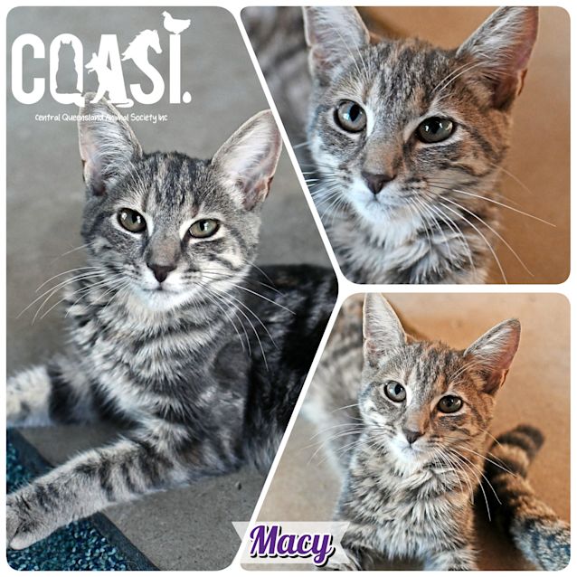 Photo of Macy