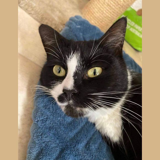 Photo of Beautiful Betty 