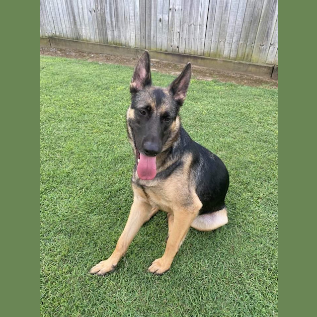 Photo of Baxter