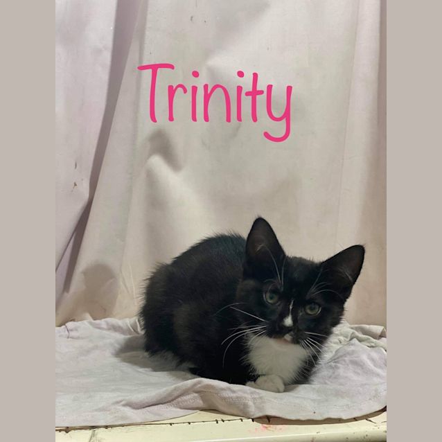 Photo of Trinity
