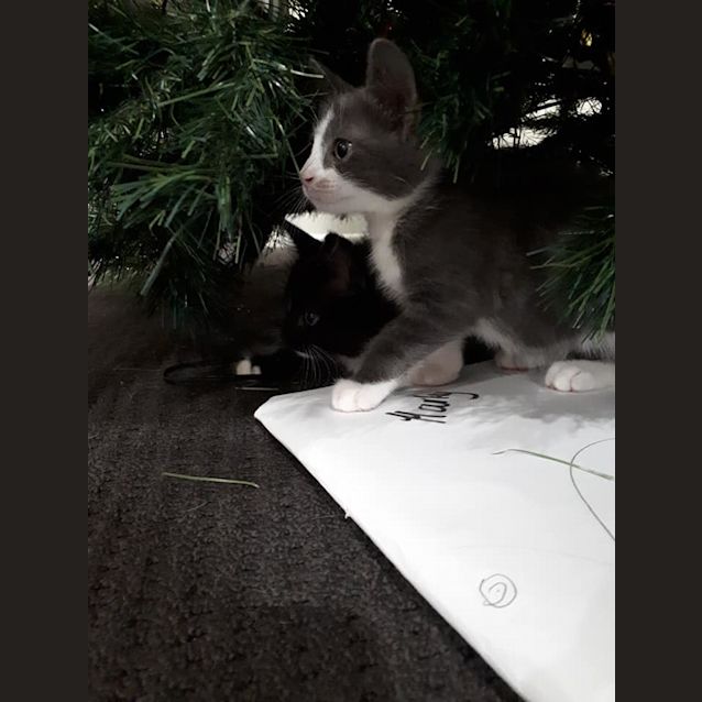 Photo of Fiona