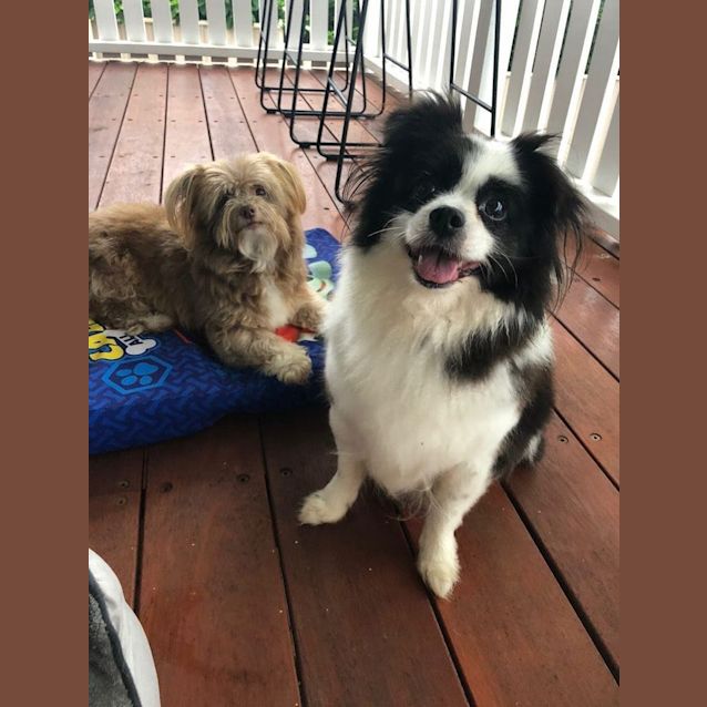 Photo of Patty &  Selma