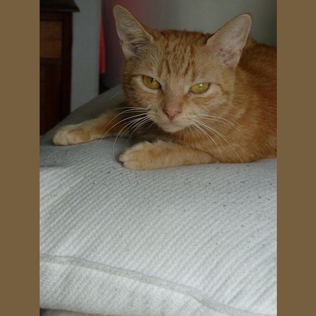 Photo of Ruby   Located In Preston