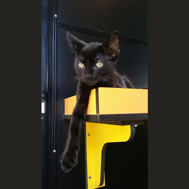 Photo of Salem