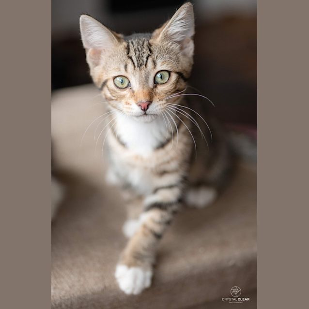 Photo of Aspen