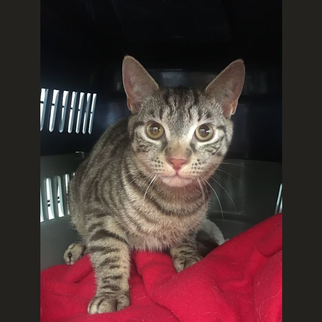 Photo of Fred