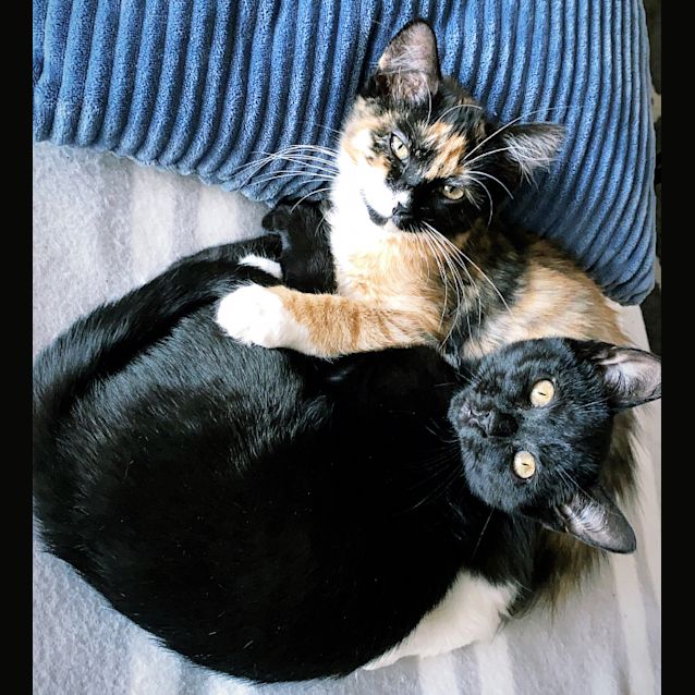 Photo of Thomas And Lola 