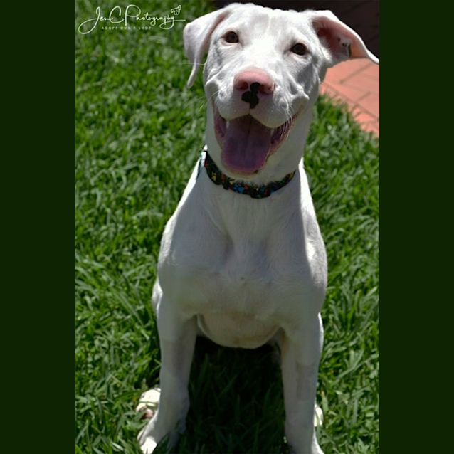 Photo of Pippa ** Total Love Bug **