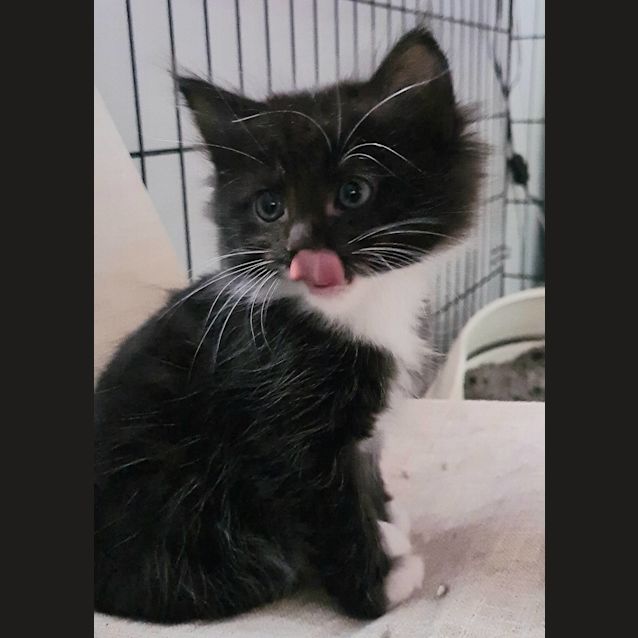 Photo of Buddy