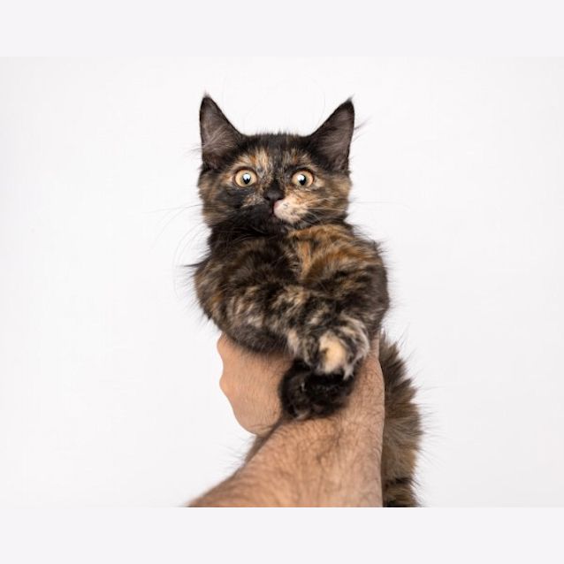 Photo of Charlie