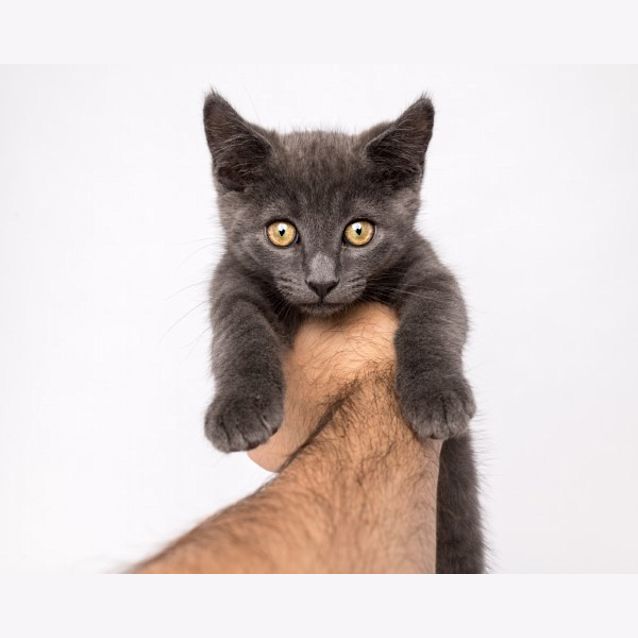Photo of Wilbur
