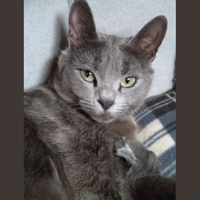 Photo of Sylvie