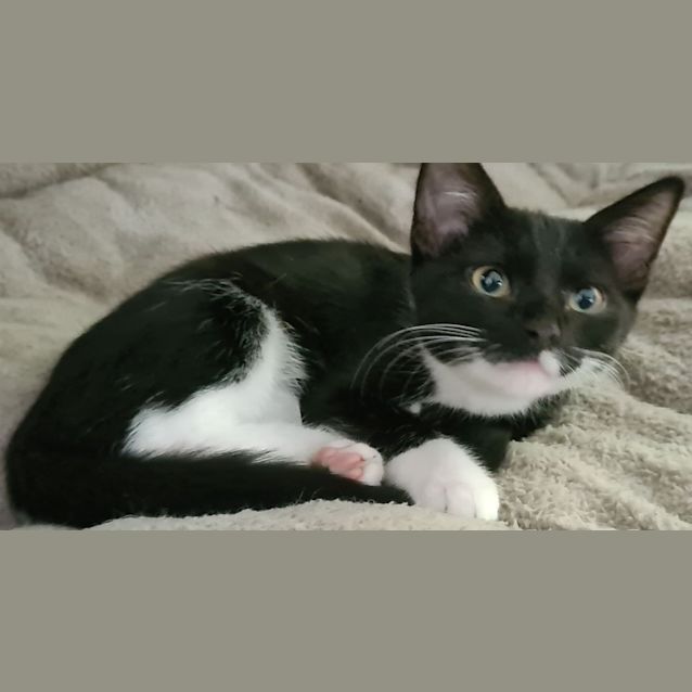 Photo of Soraia