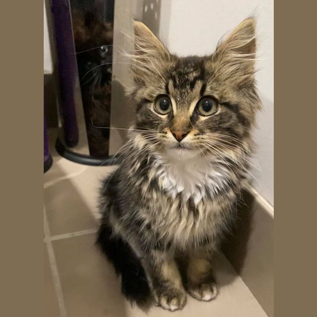 Photo of Adorable Dora!