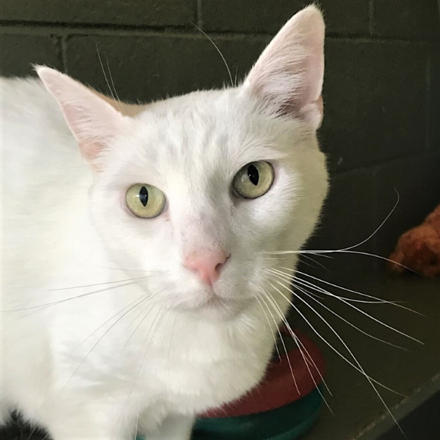 Photo of Mitzi