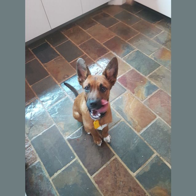 Photo of Bean Dl2593