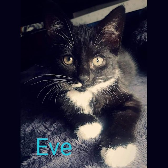 Photo of Eve