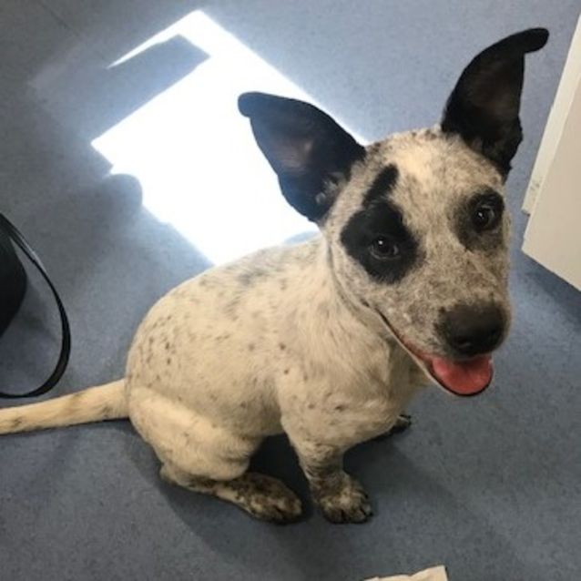 Photo of Judy