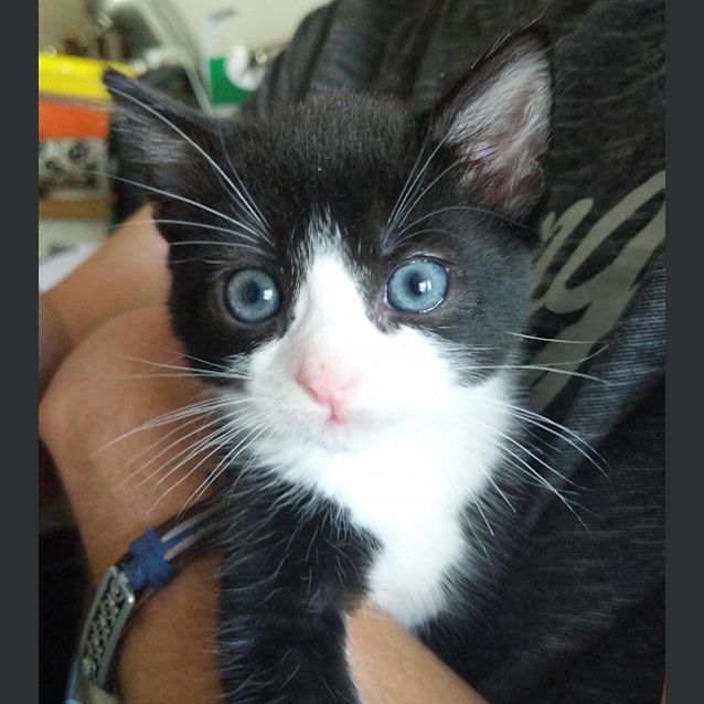 Photo of Klaus