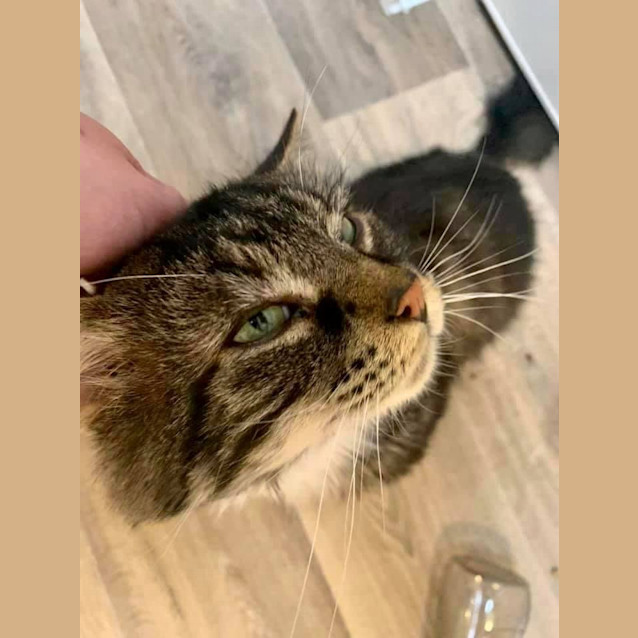 Photo of Mr Pancakes