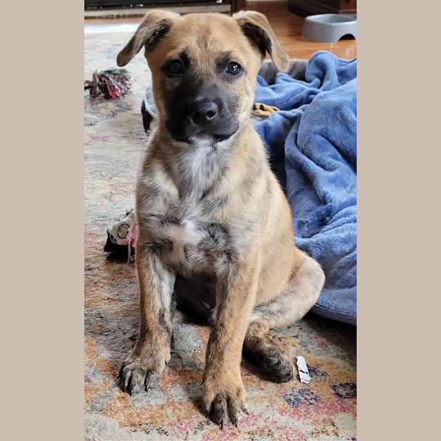 Photo of Handsome Harry 🤩