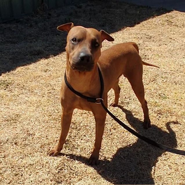 Photo of Clarence Dl2602