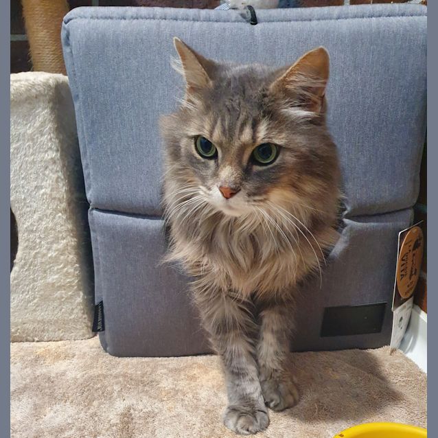 Photo of Jinx