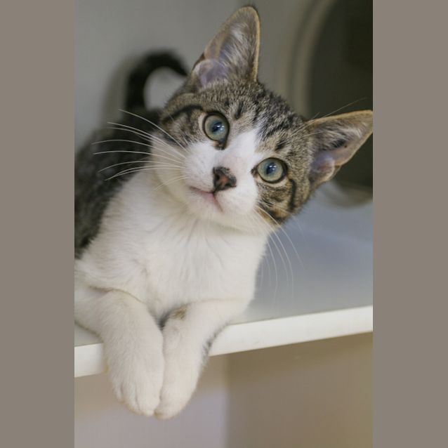Photo of Mystic