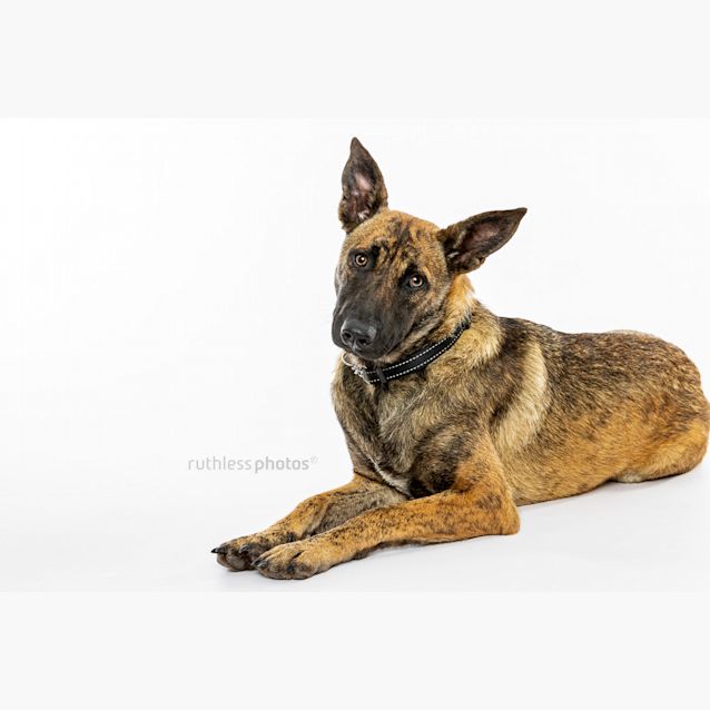 Photo of Kiara