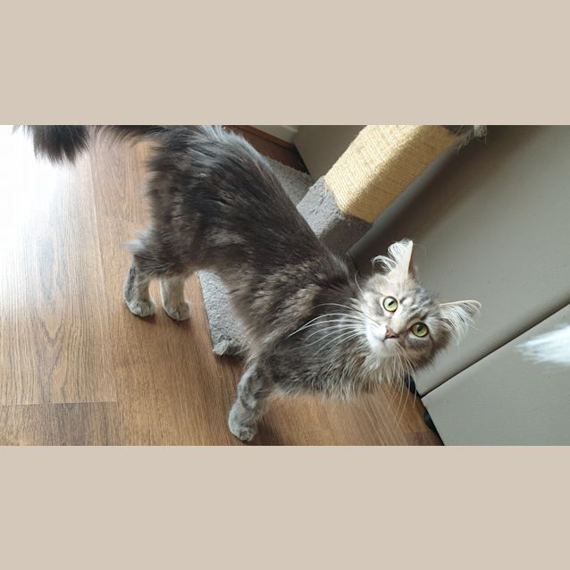 Photo of Sharelle