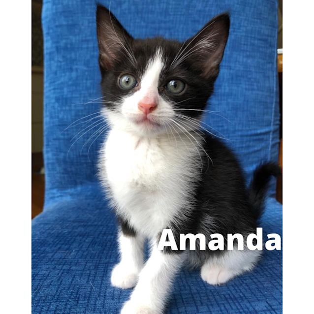 Photo of Amanda 