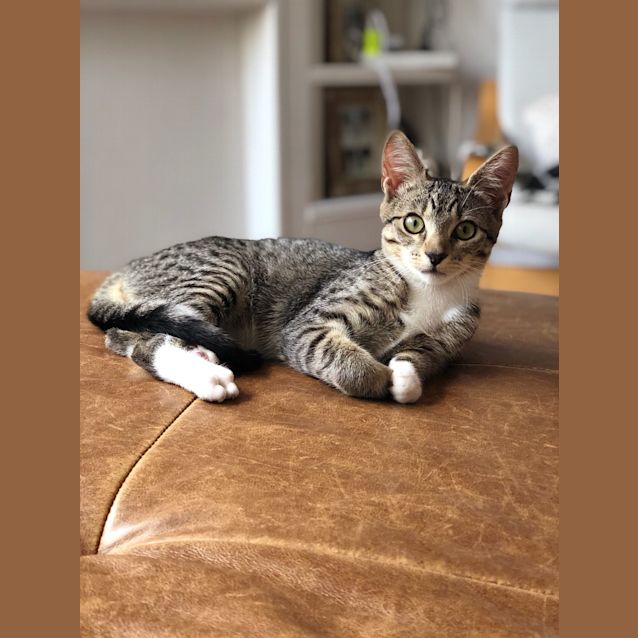 Photo of Mina