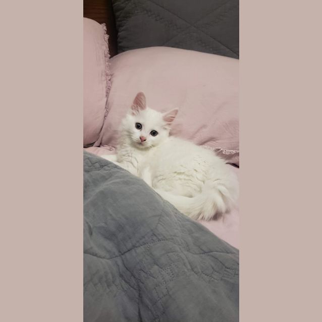 Photo of Alfie & Winnie 