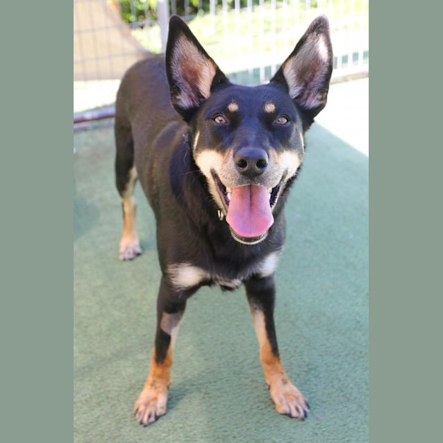 Photo of Belle