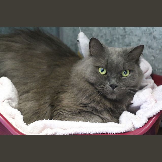 Photo of Zeus