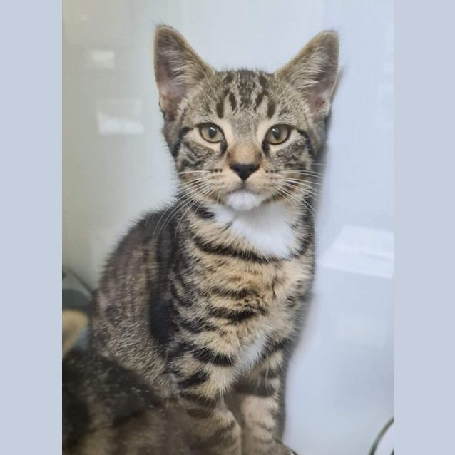 Photo of Carl