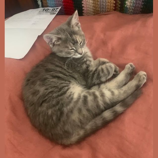 Photo of Bonita