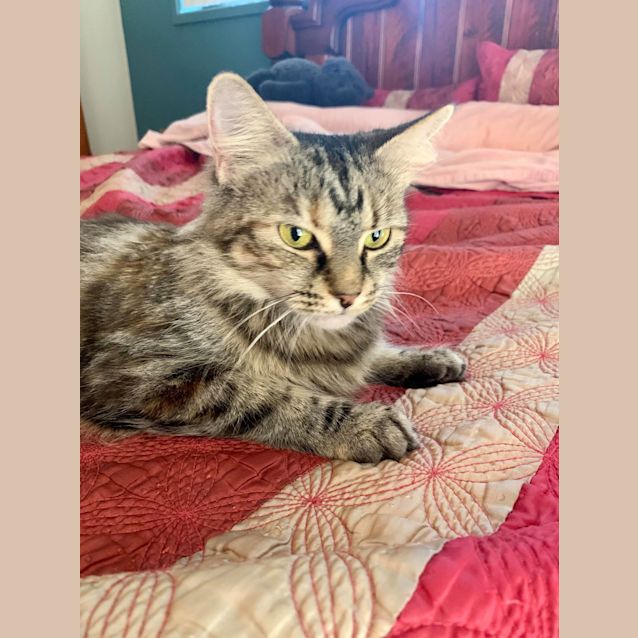 Photo of Cleo