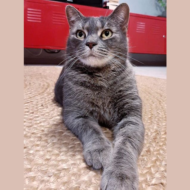 Photo of Marley 