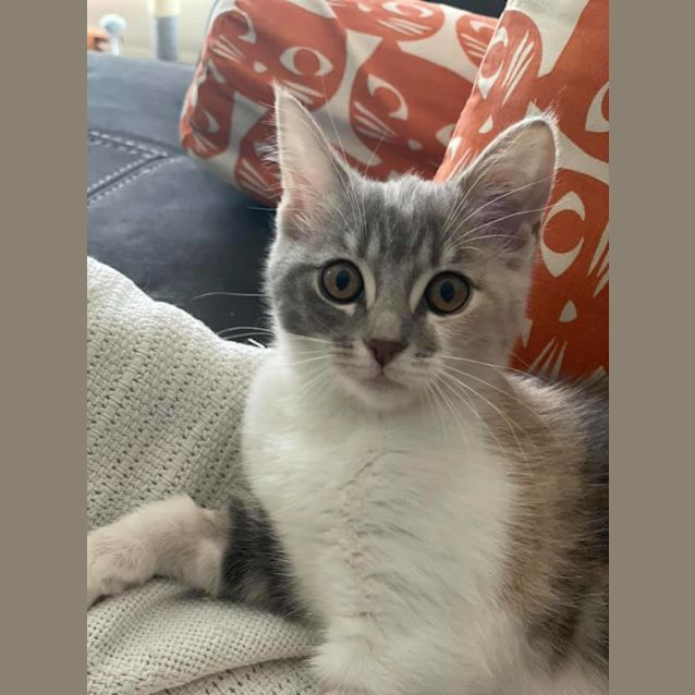 Photo of Elodie 