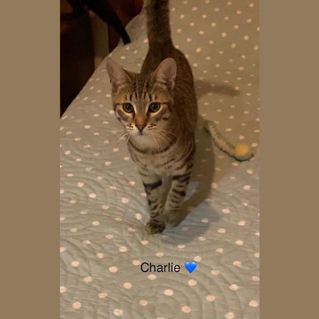 Photo of Charlie