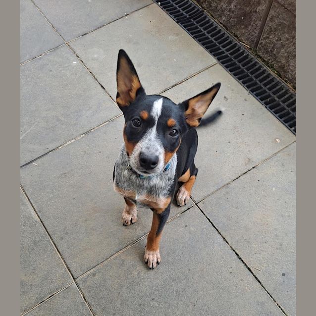 Photo of Louise 🥰