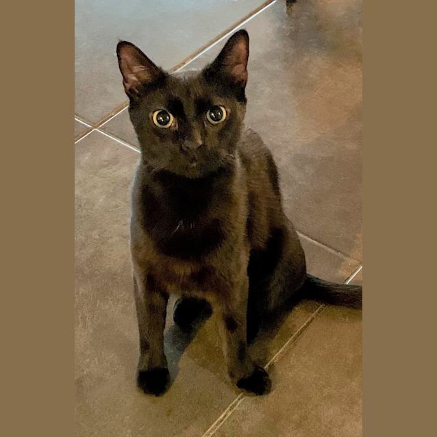 Photo of 3617   Sabrina