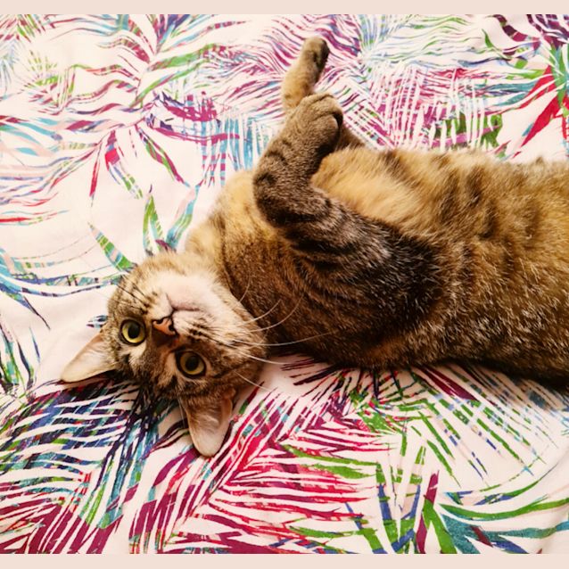 Photo of Gigi 