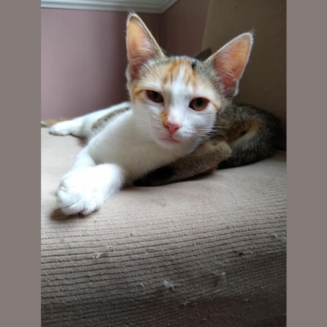 Photo of Aurielle