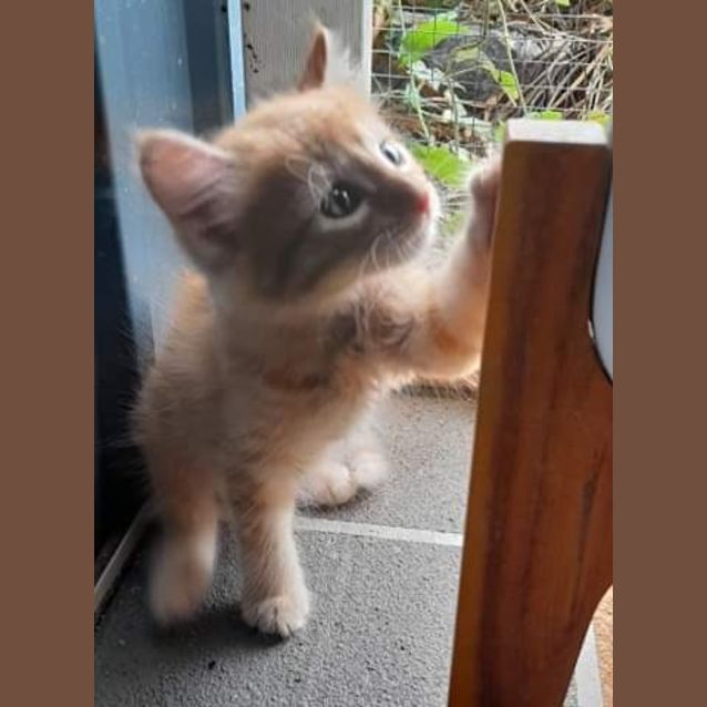 Photo of Zero